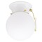 Ace Trading - Westin Westinghouse 7.25 in. H X 6 in. W X 6 in. L White Ceiling Fixture 66680 - alternate 1
